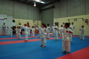 Chikara Karate Classes